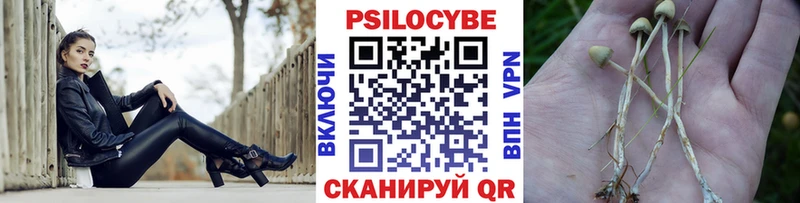 Псилоцибиновые грибы мицелий  кракен онион  Шагонар 